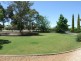 3 Bawden Road, Barmera SA 5345