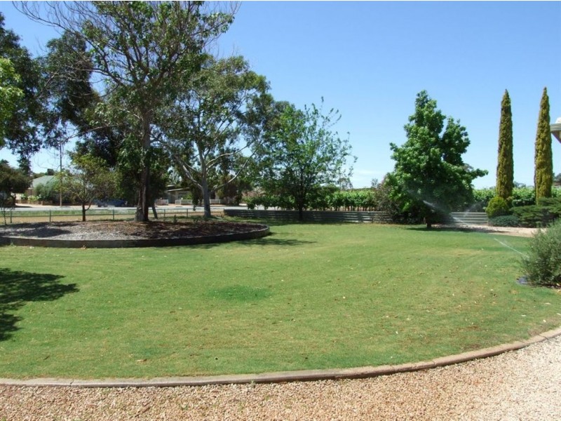 3 Bawden Road, Barmera SA 5345