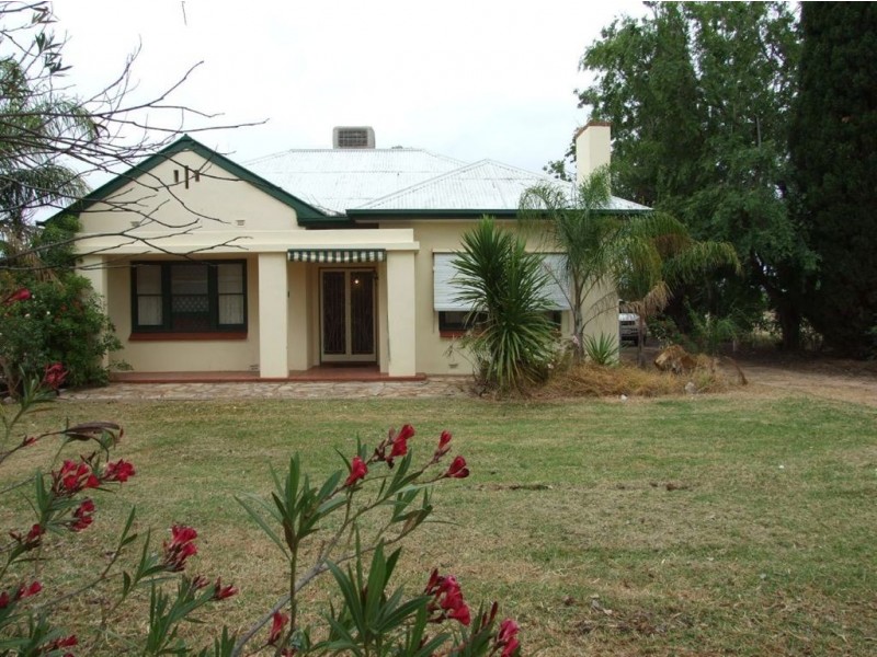 74 Arumpo Street, Renmark SA 5341