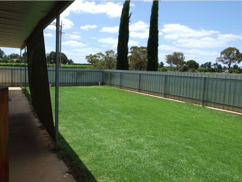 61 Jones Road, Barmera SA 5345