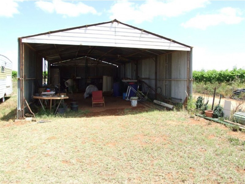 61 Jones Road, Barmera SA 5345