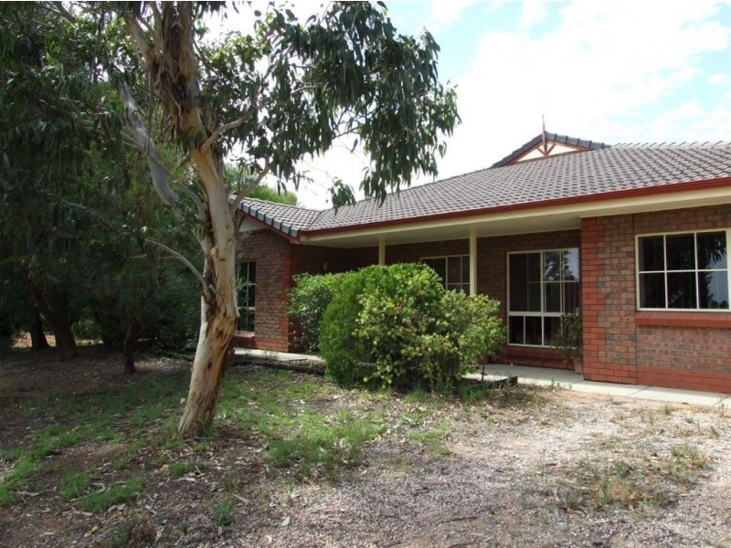 117 Orroroo Street, Renmark SA 5341