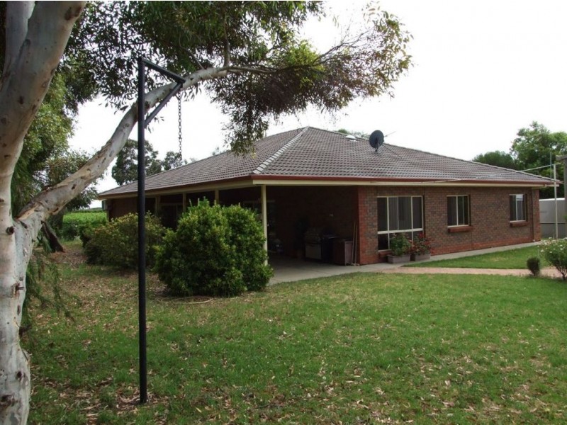 117 Orroroo Street, Renmark SA 5341