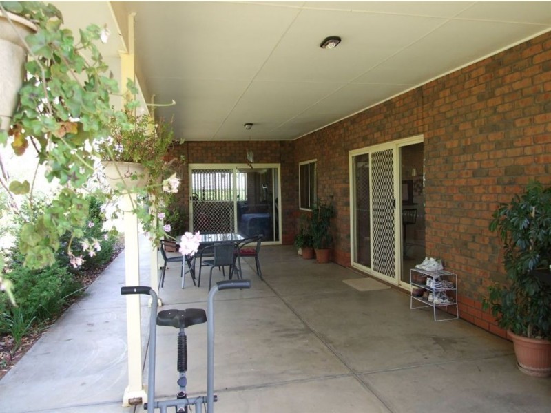 117 Orroroo Street, Renmark SA 5341