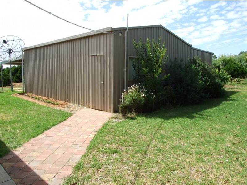 117 Orroroo Street, Renmark SA 5341