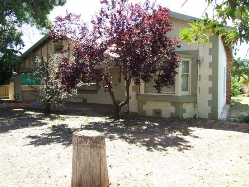 48 James Avenue, Renmark SA 5341