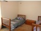 591 Drogemuller Road, Cobdogla SA 5346