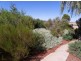 149 Paruna Road, Loxton SA 5333