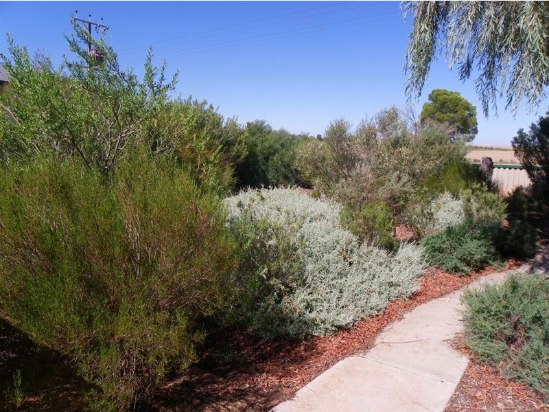 149 Paruna Road, Loxton SA 5333