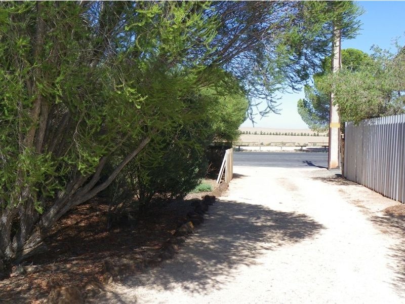 149 Paruna Road, Loxton SA 5333