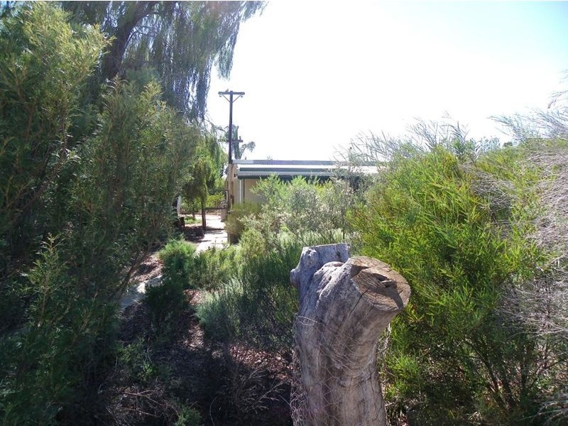 149 Paruna Road, Loxton SA 5333