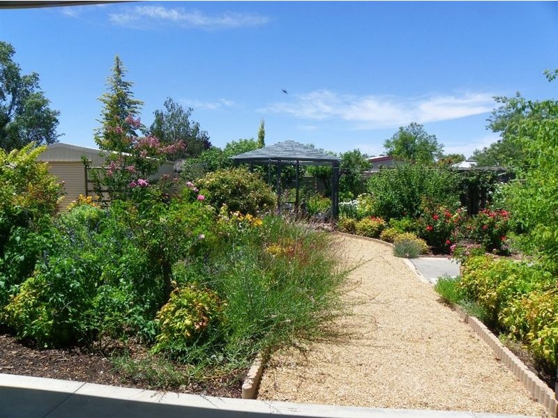 55 Pyap Street, Renmark SA 5341