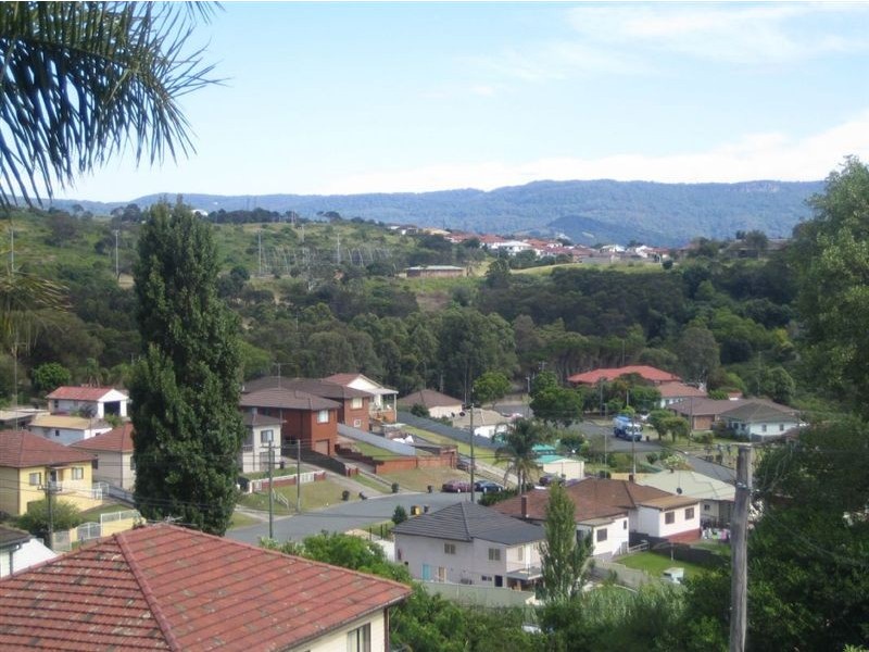 62 Auburn Street, Cringila NSW 2502