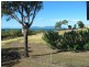 55 Adelaide Terrace, Bowen QLD 4805