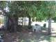 3 Station Street, Scottville QLD 4804