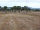 * Brampton Drive, Bowen QLD 4805
