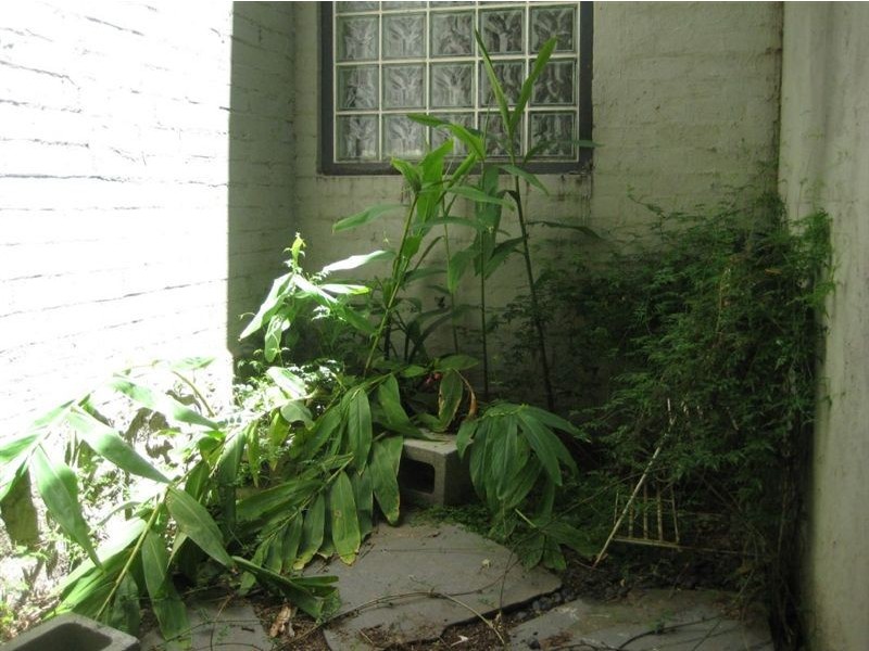 14/50 Fitzroy Street, St Kilda VIC 3182