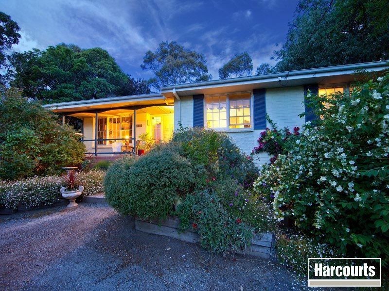 16 McComb Boulevard, Frankston South VIC 3199