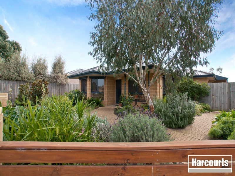 16 Kuan Yin Place, Hastings VIC 3915