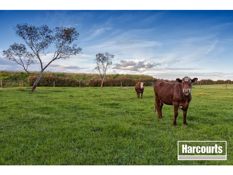 49 The Crescent, Tyabb VIC 3913