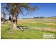 1135 Moorooduc Highway, Moorooduc VIC 3933