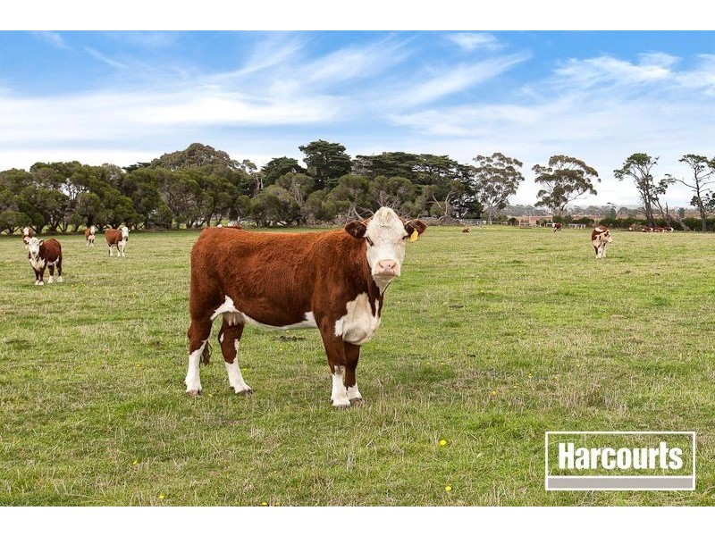 1135 Moorooduc Highway, Moorooduc VIC 3933