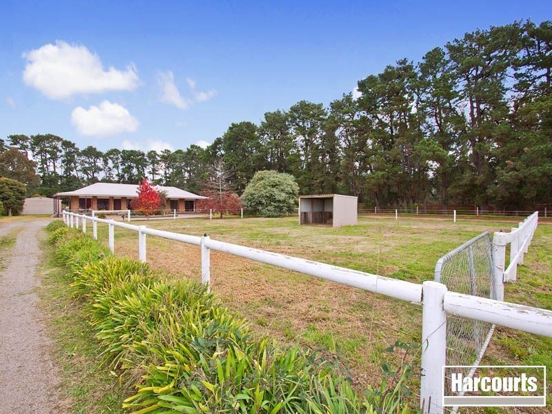 51 Graydens Road, Hastings VIC 3915