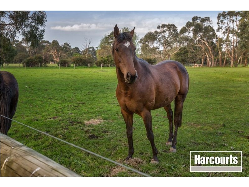 491 Stumpy Gully Road, Balnarring VIC 3926