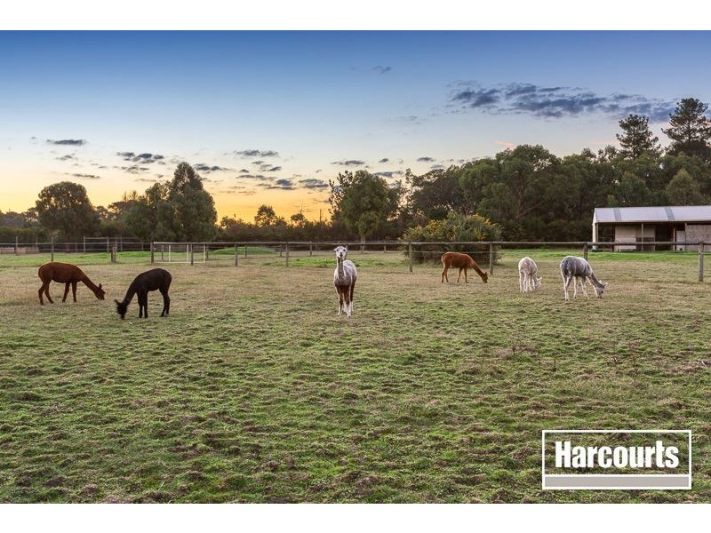 246 Davies Road, Bittern VIC 3918