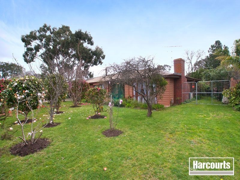 3 Landscape Court, Balnarring VIC 3926