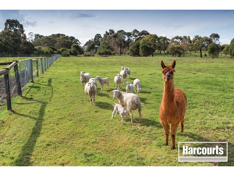 352 Disney Street, Bittern VIC 3918