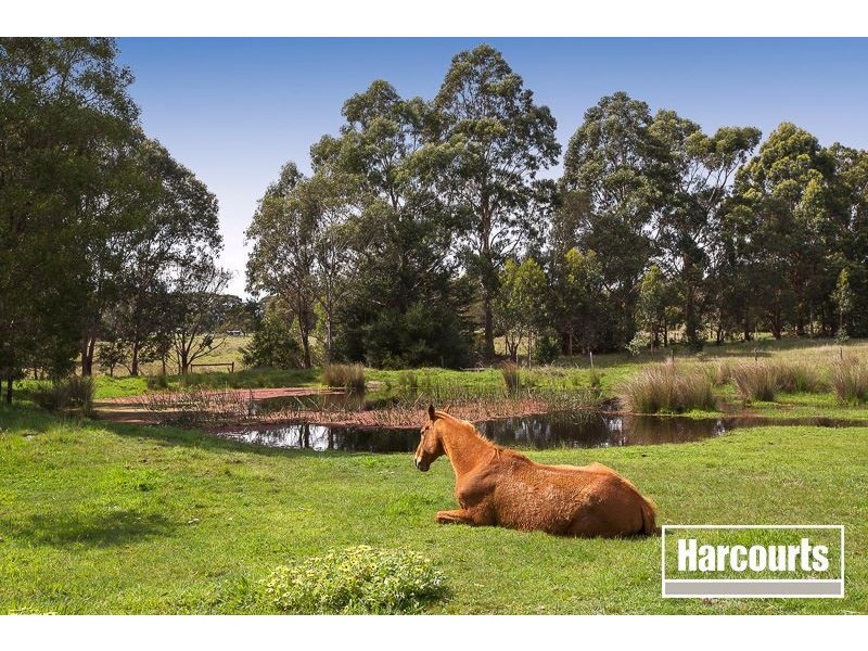 11 Wonderland Avenue, Tuerong VIC 3915