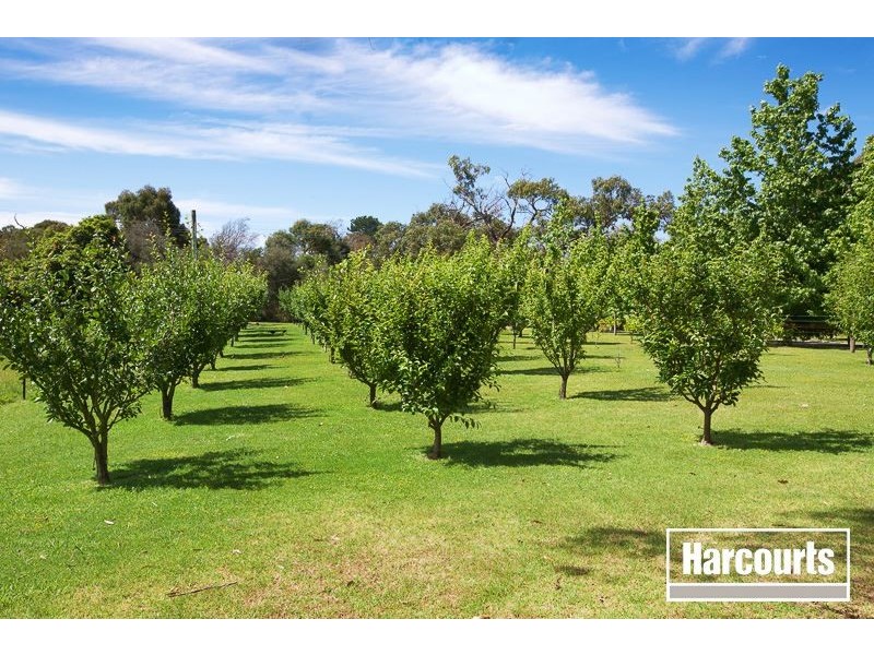 59 O’Neills Road, Tyabb VIC 3913