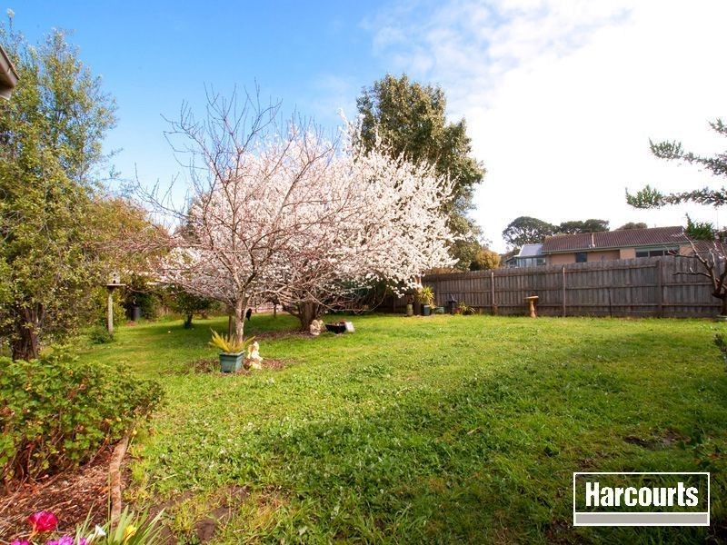 12 Towerhill Road, Somers VIC 3927