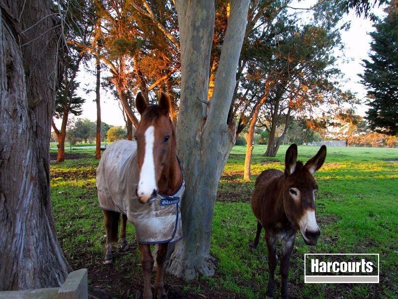 88 Beach-Hill Avenue, Somers VIC 3927