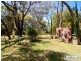 449 Stony Point Road, Bittern VIC 3918