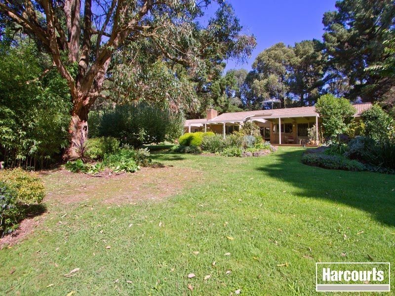 144 Red Hill Road, Red Hill VIC 3937