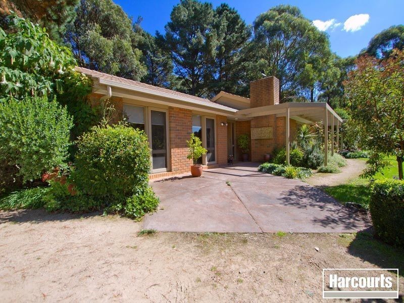 144 Red Hill Road, Red Hill VIC 3937