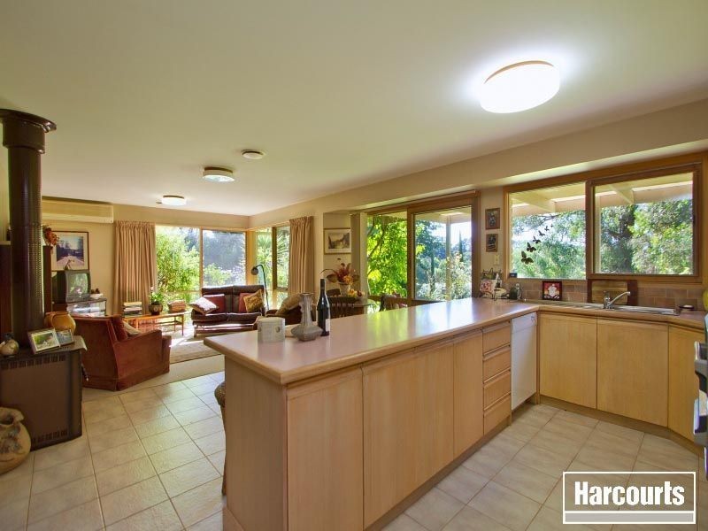 144 Red Hill Road, Red Hill VIC 3937