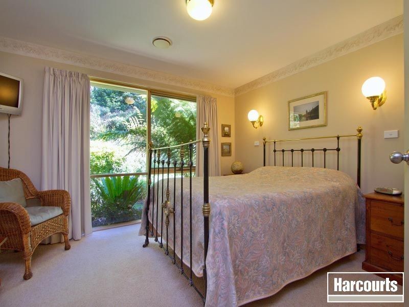144 Red Hill Road, Red Hill VIC 3937