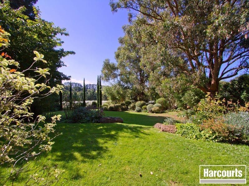 144 Red Hill Road, Red Hill VIC 3937