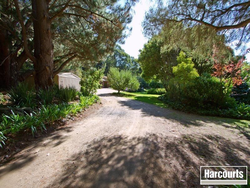 144 Red Hill Road, Red Hill VIC 3937