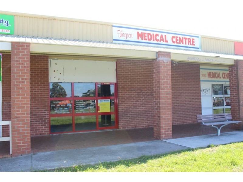 8/161 Aurora Drive, Tregear NSW 2770