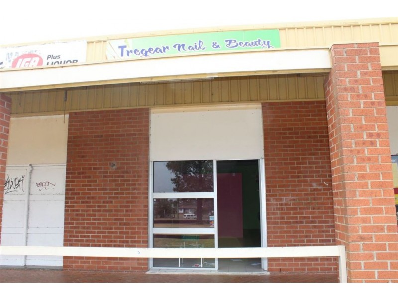 8A/161 Aurora Drive, Tregear NSW 2770