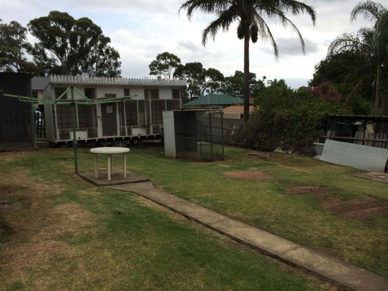 16 Oxley Street, Lalor Park NSW 2147