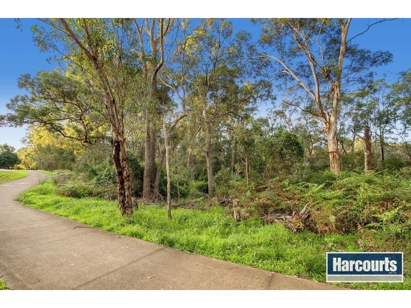 7 Buffalo Way, Beaumont Hills NSW 2155