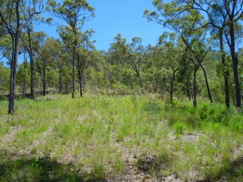 15 Stoneybrook Court, Frenchville QLD 4701