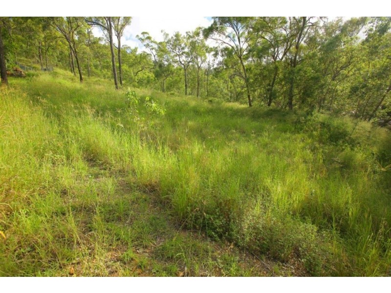 15 Stoneybrook Court, Frenchville QLD 4701