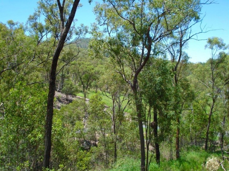 15 Stoneybrook Court, Frenchville QLD 4701