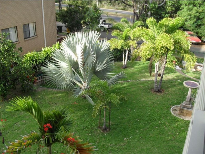 601 Ibis Av, Kawana QLD 4701